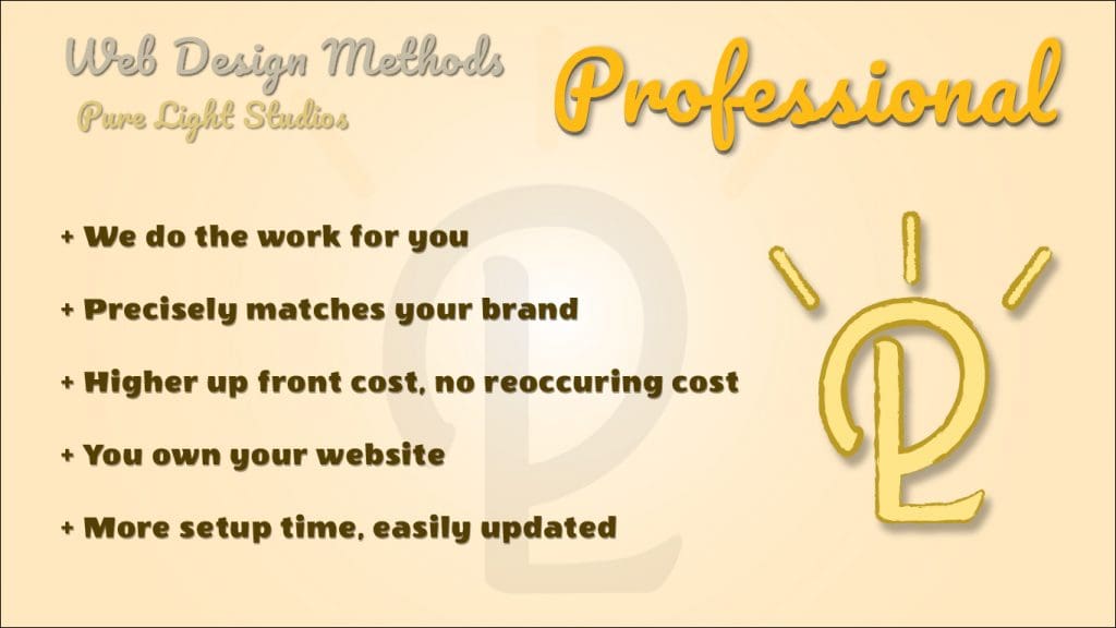 An infographic explaining why hiring a professional web designer is better than DIY web design